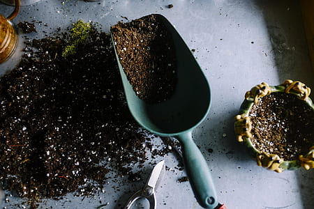 green mini shovel with black soil