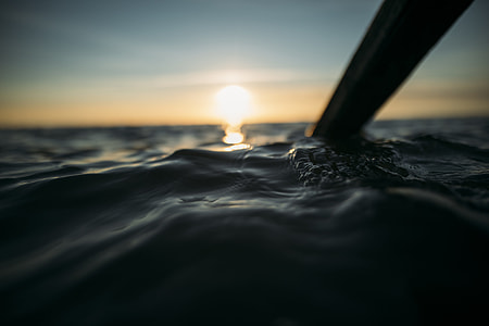 selective focus photography of brown paddle underwater during golden hour