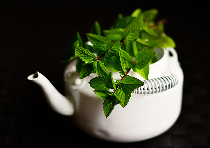 green leaves in white ceramic teapot