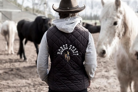 person wearing gray and black Horse Staff print jacket and black leather cowboy hat