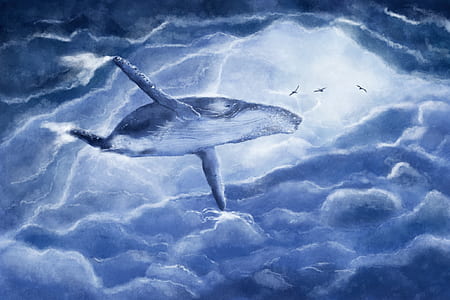 blue fish illustration