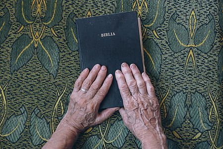 person holding Bible book