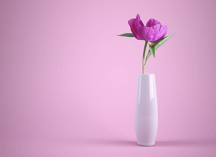 still life photography of purple petaled flower in white ceramic vase