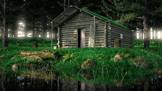 brown log house near swamp during night time