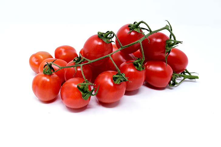tomato lot