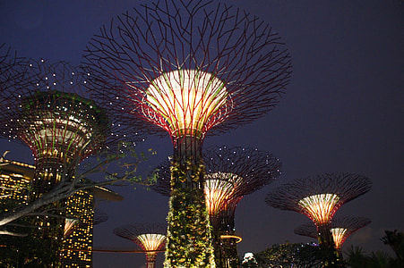 lighted trees in park during night time