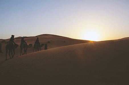 three people riding camels on dessert during daytime