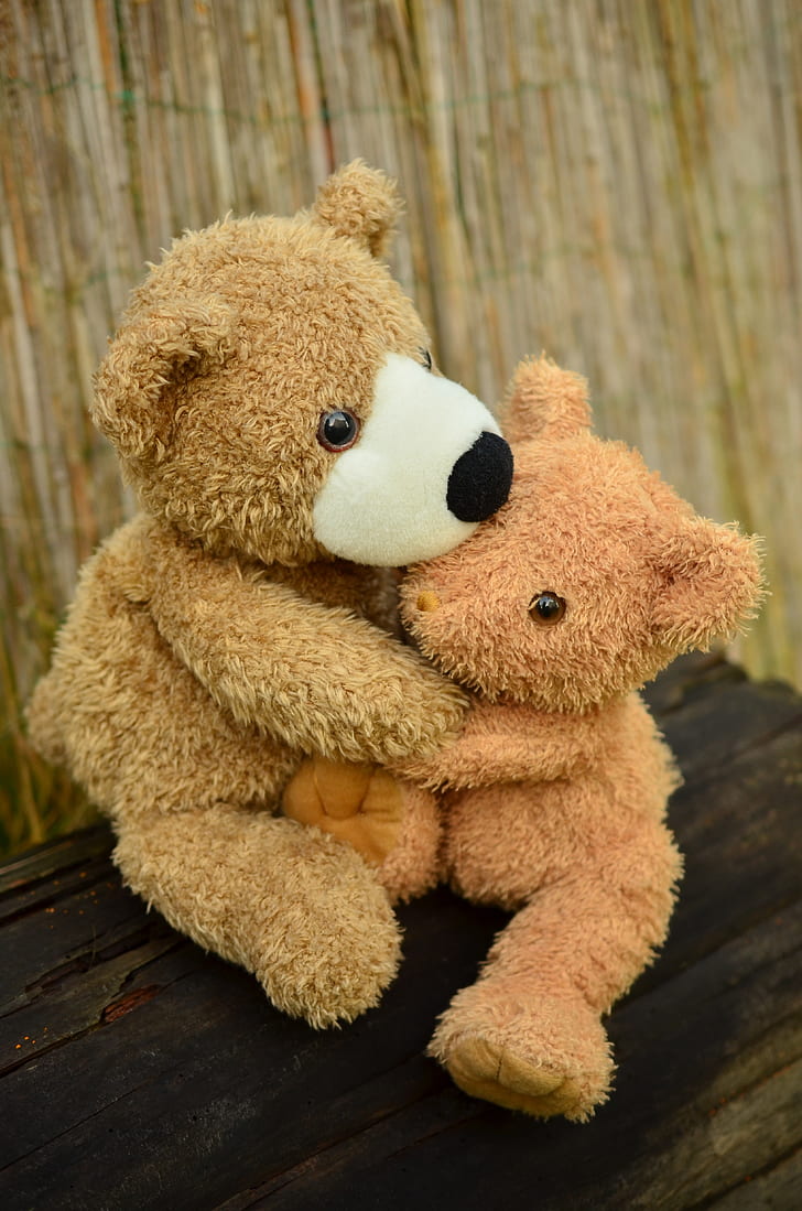 two bear hugging plush toys