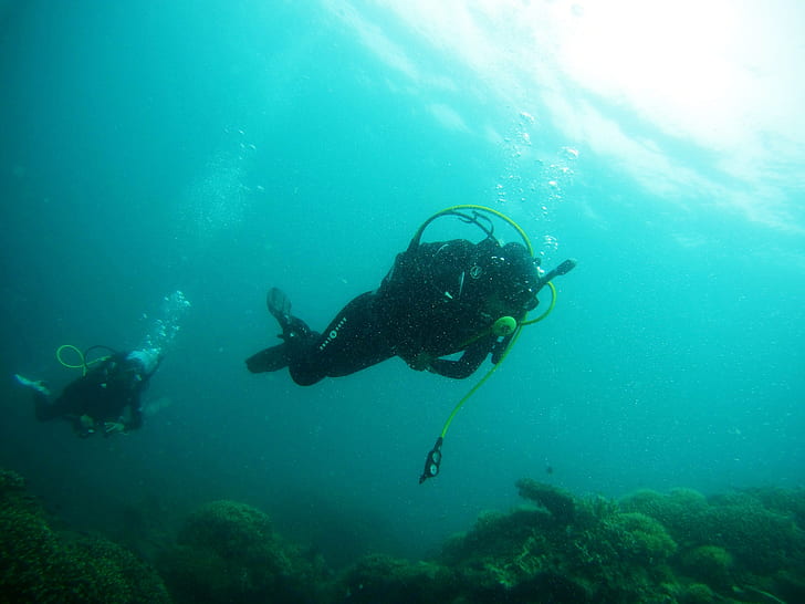two people scuba diving beneath sea