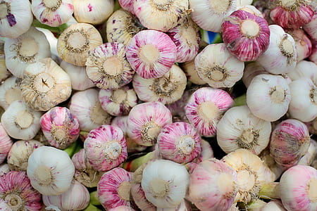 white and pink garlic lot
