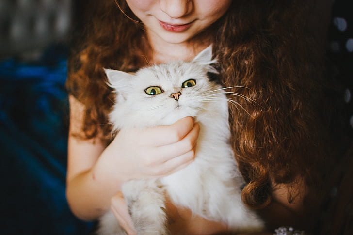 woman holding white Persian cat
