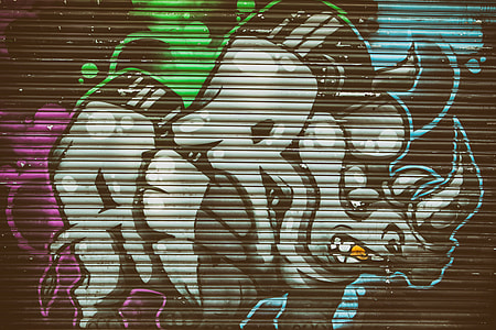 Urban street art depicting a rhino