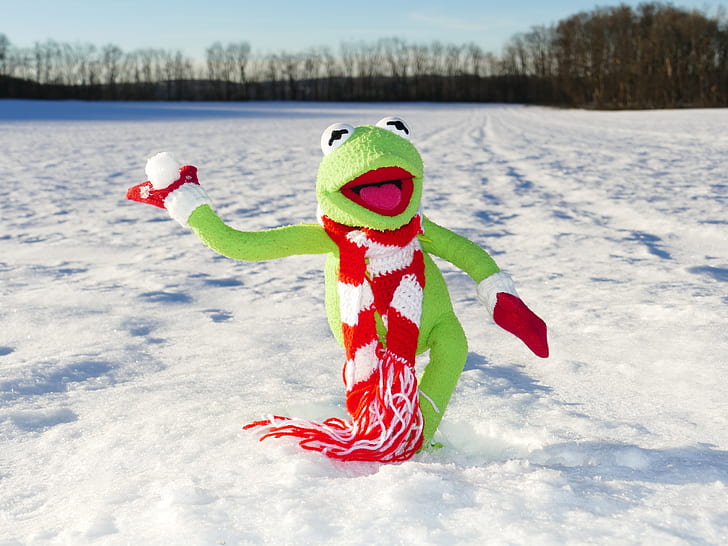 green and red kermit the frog crochet doll standing on snow
