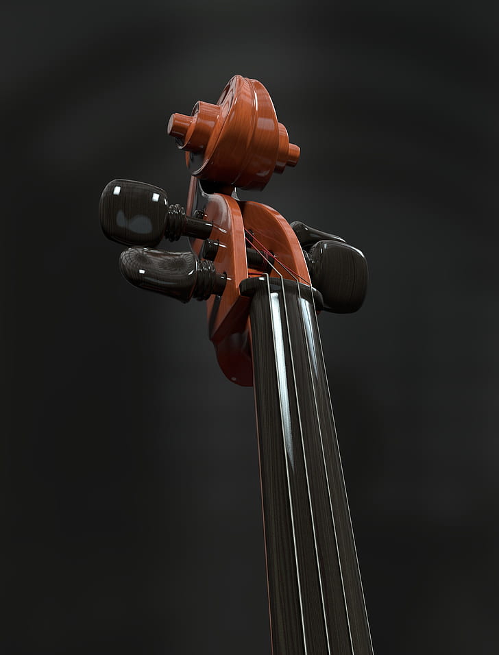 brown and black violin