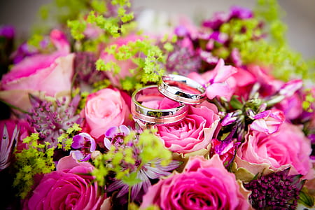 two silver-colored rings over pink petal flower