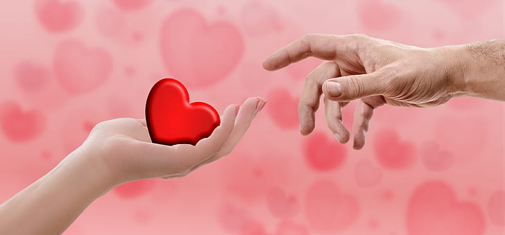 person's hand holding heart illustration