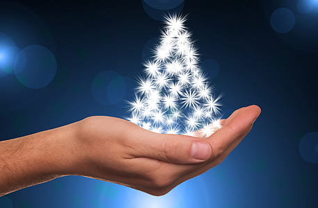 person holding white miniature Christmas tree