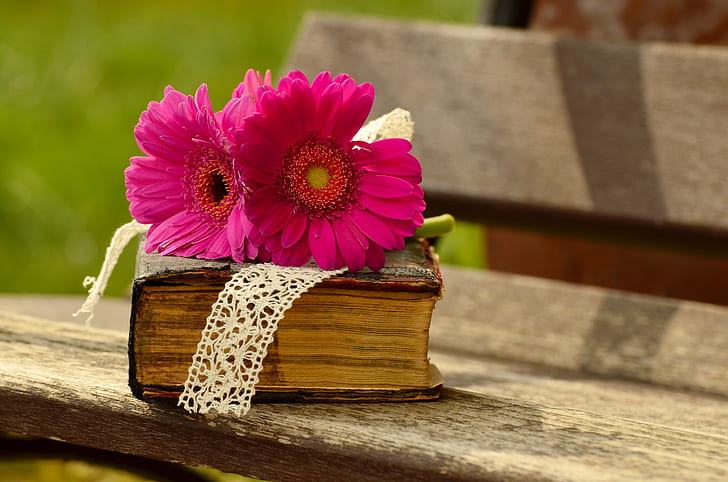 two pink flower on brown covered book