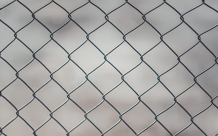 Chain Linked Fence
