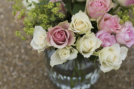 white and pink rose flowers in clear vase