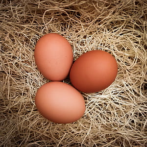 Three Brown Native Eggs