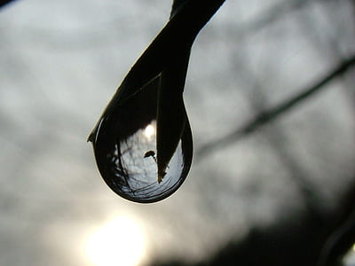macro photography of water droplet