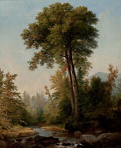 painting of green leaf tree beside river