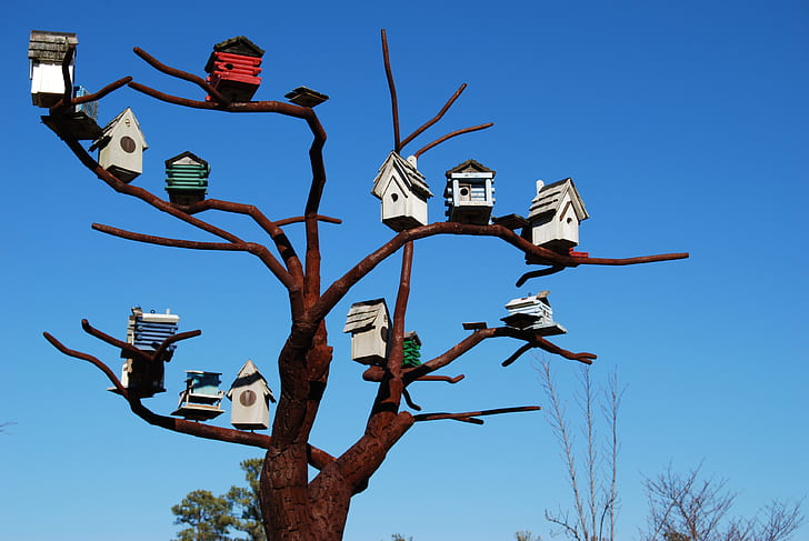 assorted-color bird house on tree photography