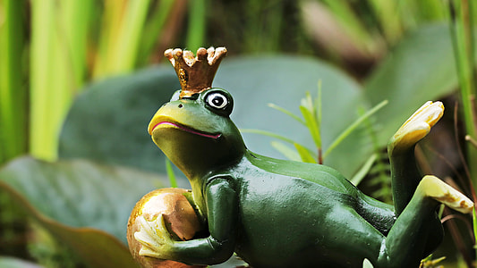 selective focus of green frog figurine