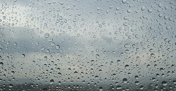 close-up photo of dew drops