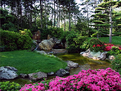 body of water between pink petaled flowers and green grass at daytime
