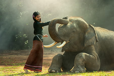 woman in blue and red long-sleeved dress holding gray elephant