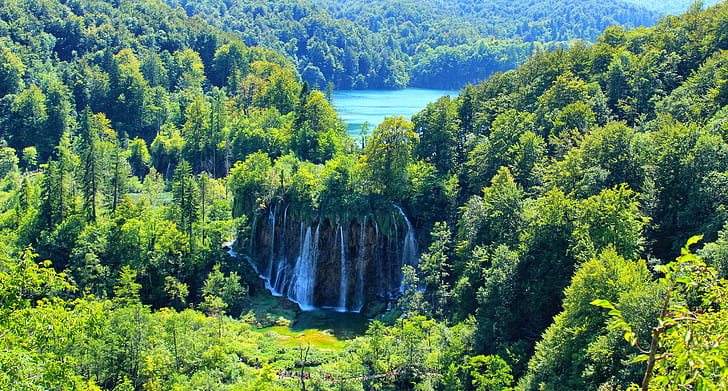 waterfalls surrounded by green tall trees birds eye photography during daytime