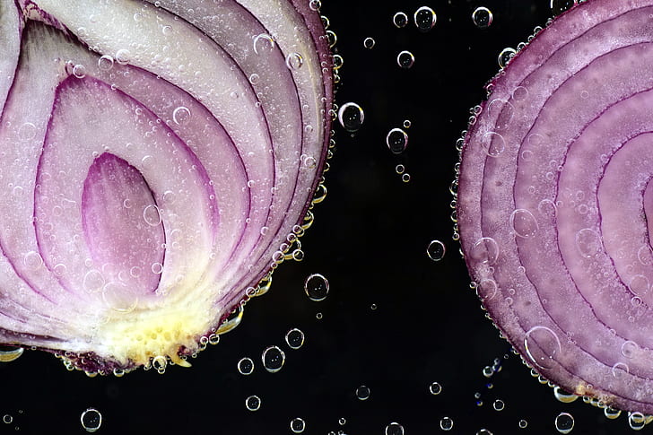 macro photograph of sliced onions