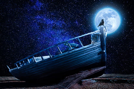 black bird on top of brown wooden boat during full moon illustration