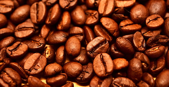 close up photo of coffee bean lot