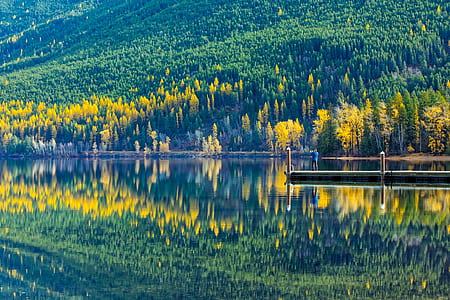 Reflection of Trees in Lake