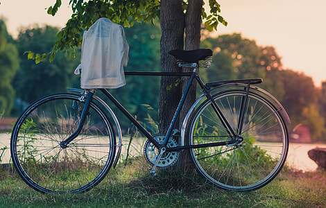 black city bike leaning on tree trunk during sunset