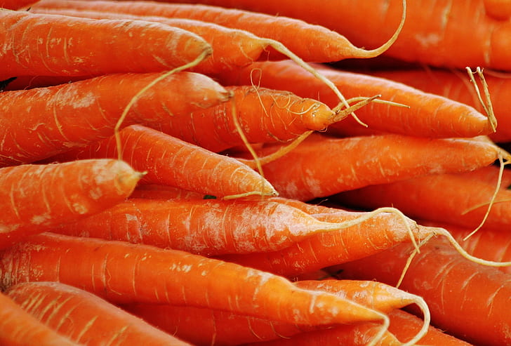closeup photography of pile of carrots