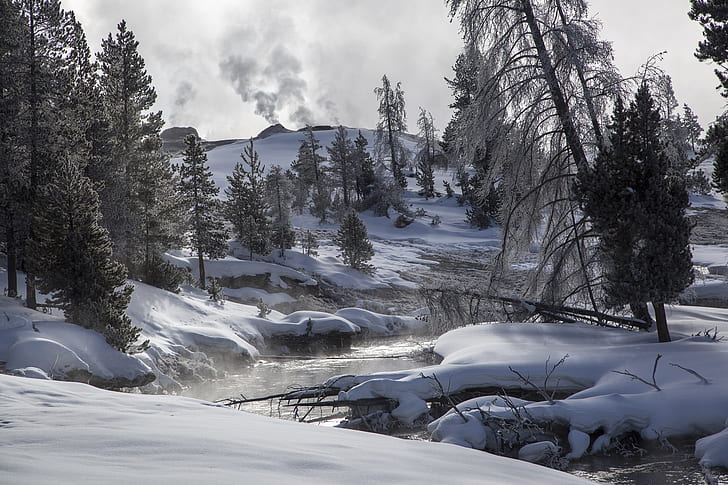 photo of river surrounded by pine trees with snows