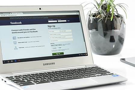 silver Samsung laptop beside green potted plant