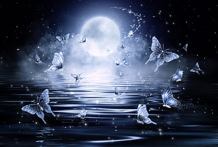 butterflies above body of water during night time illustration