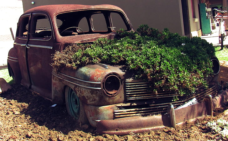 vintage car with green plants during daytime
