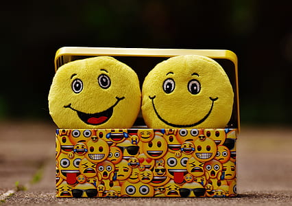 two emoji plush toys on emoji print case