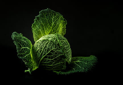 green cabbage with black background