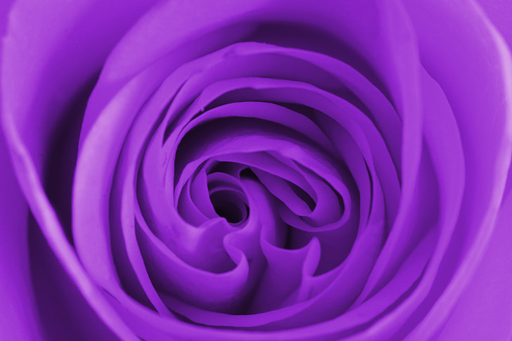 closeup photo of purple textile