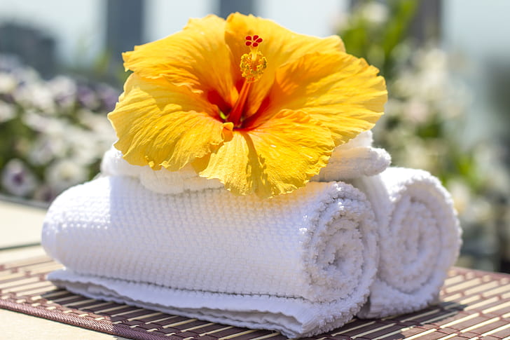 yellow hibiscus flower on white towels