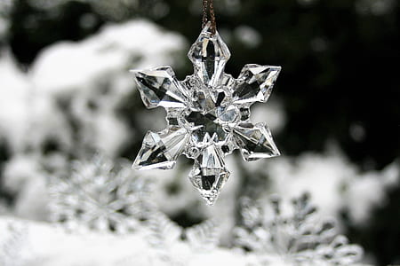 closeup photography of snowflakes