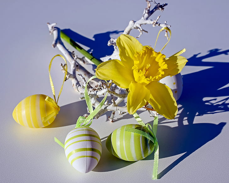 yellow daffodil flowers with three assorted-color plastic eggs