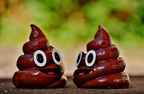 shallow focus photography of two brown poop figurines j